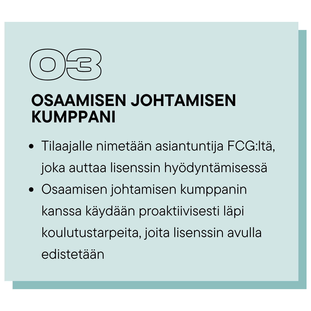 03 osaamisen johtamisen kumppani